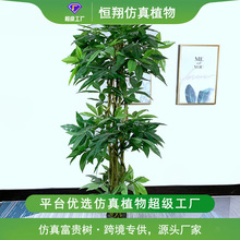 仿真富贵树家庭园艺盆栽小树人造发财树真杆绿植仿真植物富贵树