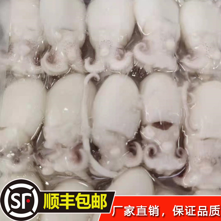 冻货海鲜冷冻品批发墨鱼仔9斤-阿里巴巴