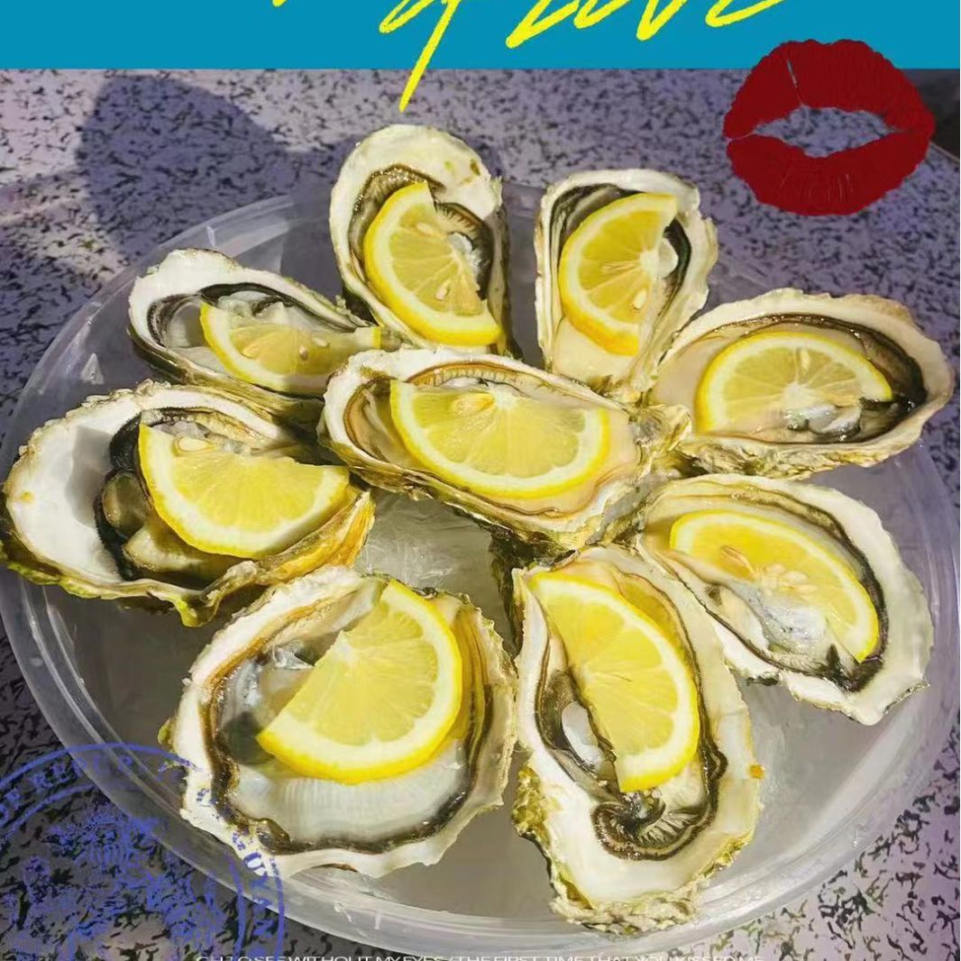 乳山生蚝批发摆摊烧烤店当季现发鲜活刺身即食牡蛎海鲜顺丰包邮