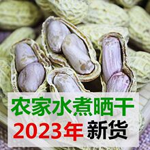 2023年新水煮咸干花生农家晒干日晒蒜香一斤装带箱