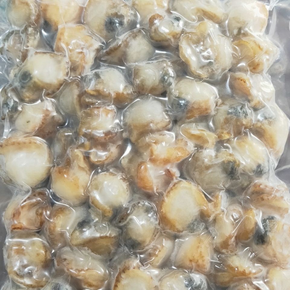 3袋包邮扇贝肉新鲜速冻扇贝肉酒店食材每袋500克/袋 海鲜水产批发