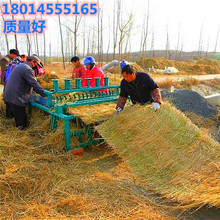 草帘子稻草草苫 稻草帘子 道路蔬菜大棚草帘 稻草垫子 保温帘干草