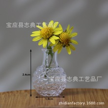 现货干花花瓶6分12分玻璃花瓶摆件 娃屋摆件透明器皿F01F02