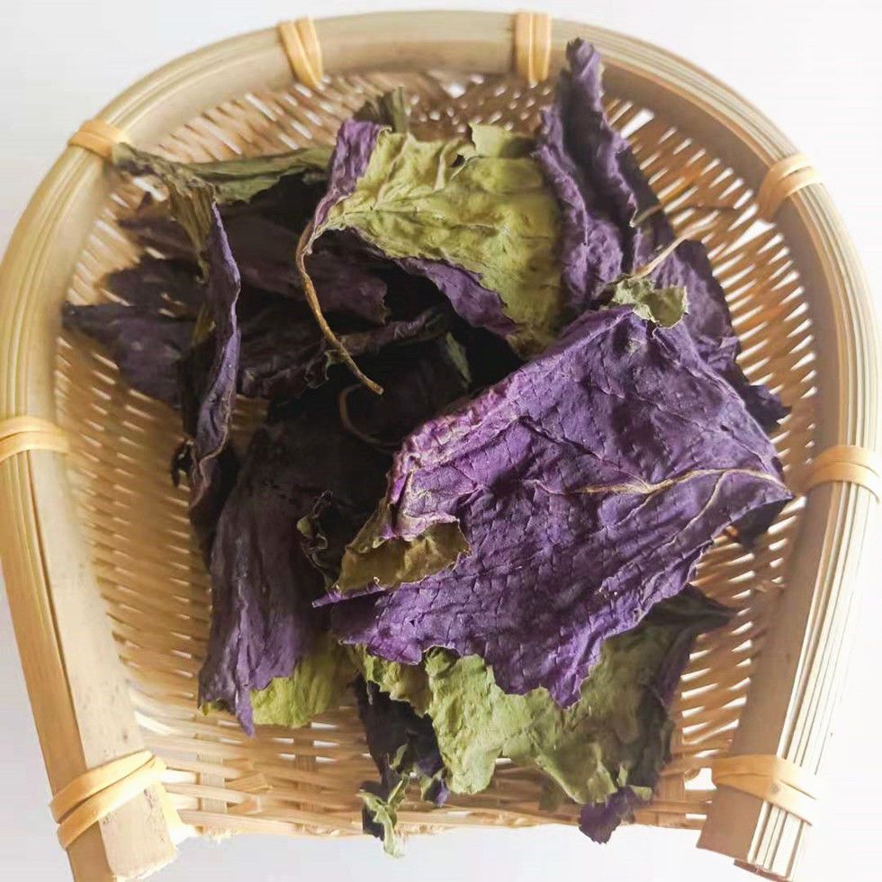 上等天然紫苏叶紫苏叶干苏子叶中药材无梗纯新鲜苏叶香料泡茶