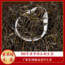 100年以上黄草坝普洱茶生茶云南古树散茶生普茶叶春茶批发一斤