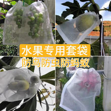 水果套袋专用枇杷葡萄袋火龙果无花果蓝莓释迦果桃子防鸟防虫网袋