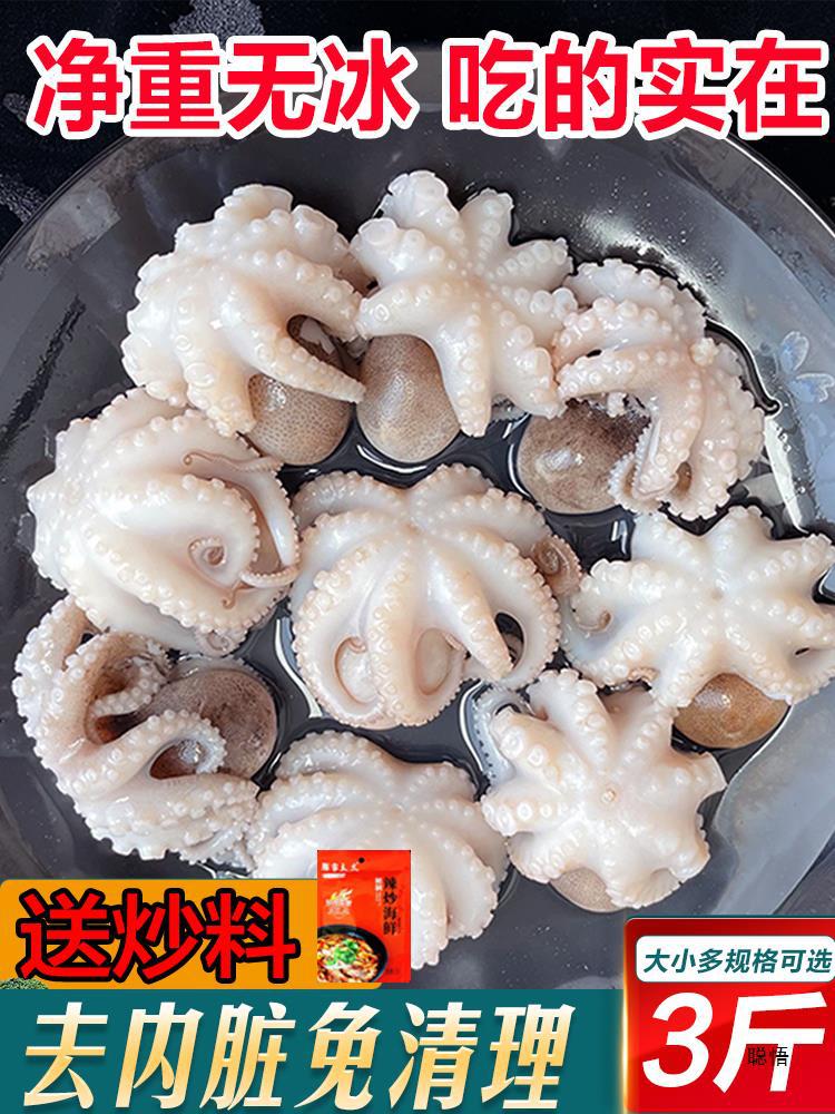 新鲜八爪鱼鲜活冷冻小章鱼迷你短腿八抓鱼大爆头去内脏捞汁小海鲜