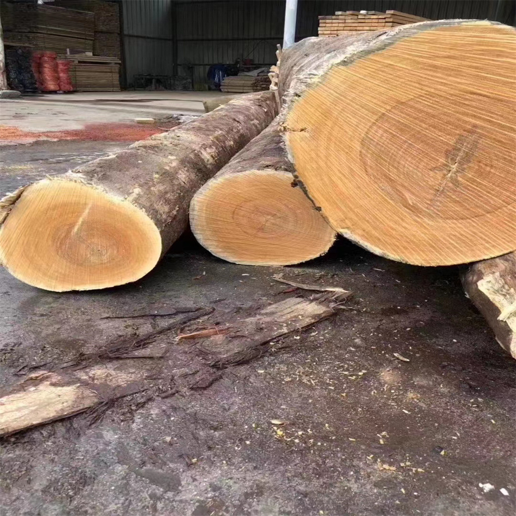 现货供应【黄杨木】小叶原木板材方料黄金檀工艺品雕刻料稳定性强