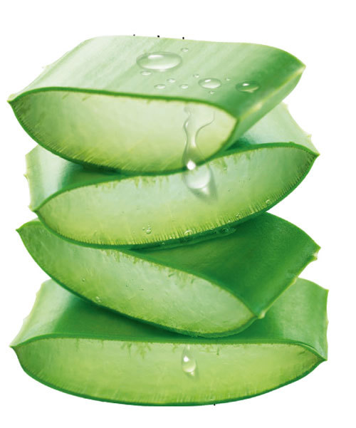 厂家销售 芦荟提取物 库拉索芦荟冻干粉 水溶性好 100g/袋实验装