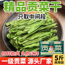 新贡菜干货5斤批发商用火锅专用新鲜响菜苔菜脱水蔬菜精品贡菜干