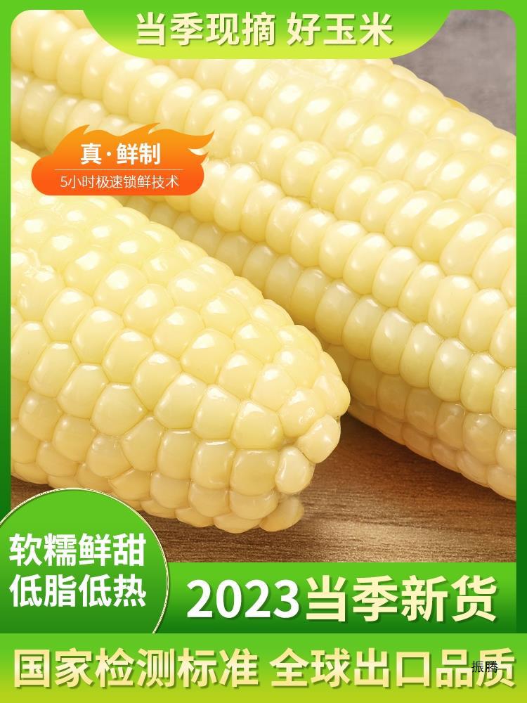 东北白糯玉米真空包装粘糯玉米棒新鲜甜玉米粒粘舔糯早餐即食开袋