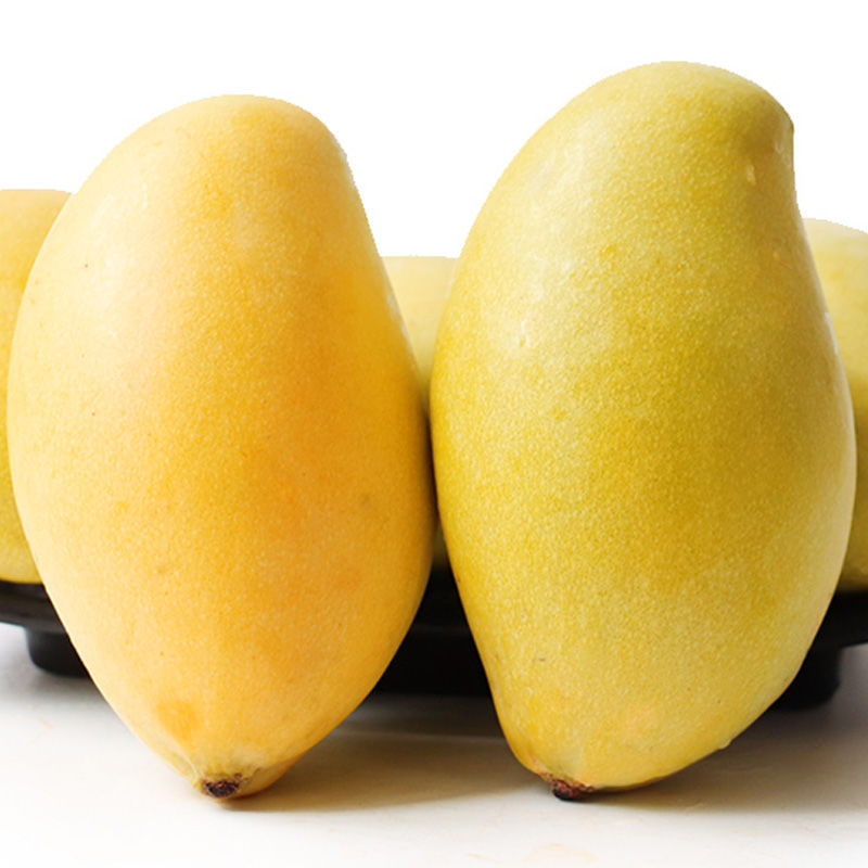 高乐密芒果爆甜黄金芒果新鲜当季水果甜心玉芒10/5/3斤青芒果批发