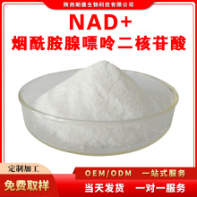 烟酰胺腺嘌呤二核苷酸99% NAD+ 氧化型辅酶Ⅰ 53-84-9 A级50克/袋