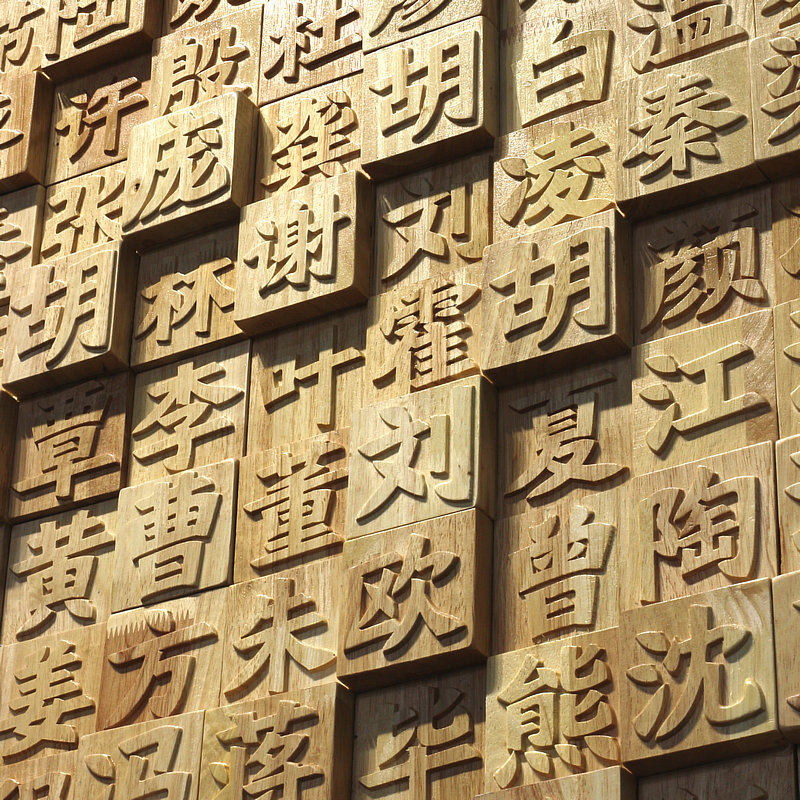 简约复古原木马赛克实木阴浮雕电视背景墙挂画活字印刷百家姓装饰