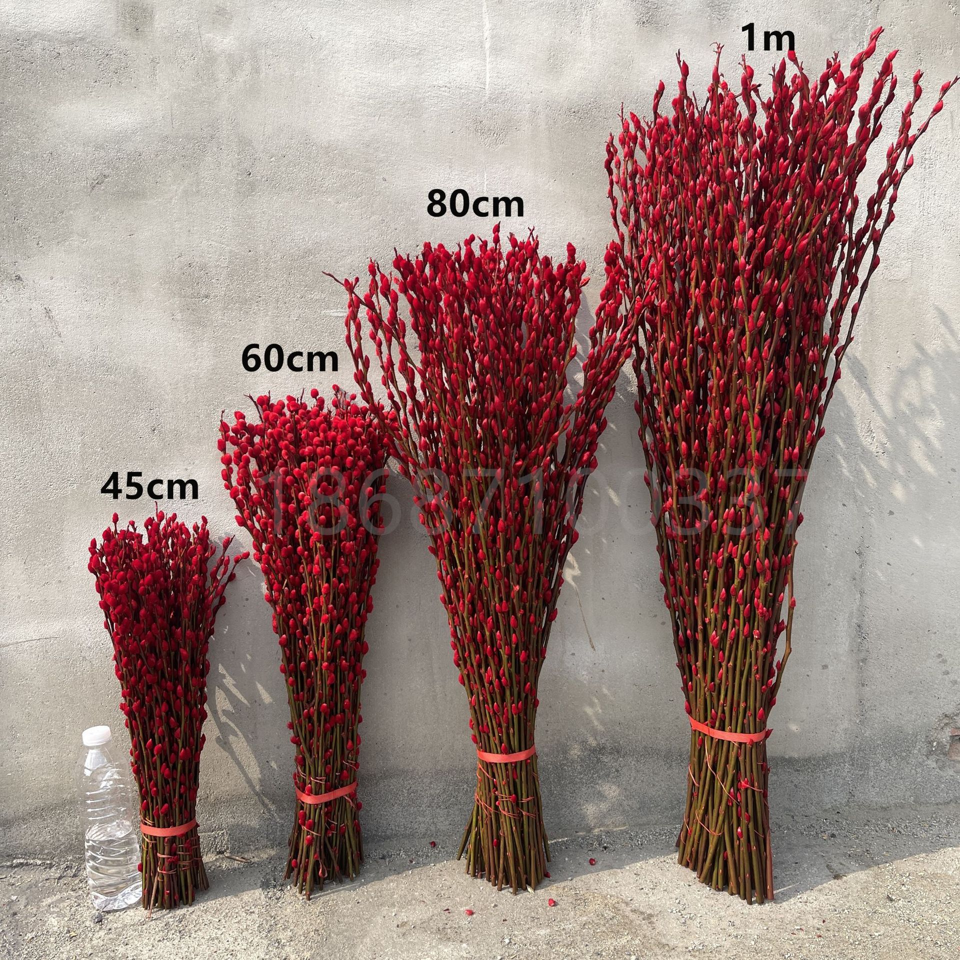 银柳真花鲜枝年宵花卉多彩大红色银柳装饰招财干花-阿里巴巴