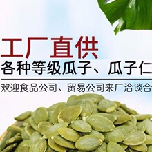 生熟南瓜子仁新货5斤大粒无壳南瓜籽仁原味炒货零食内蒙特产批发