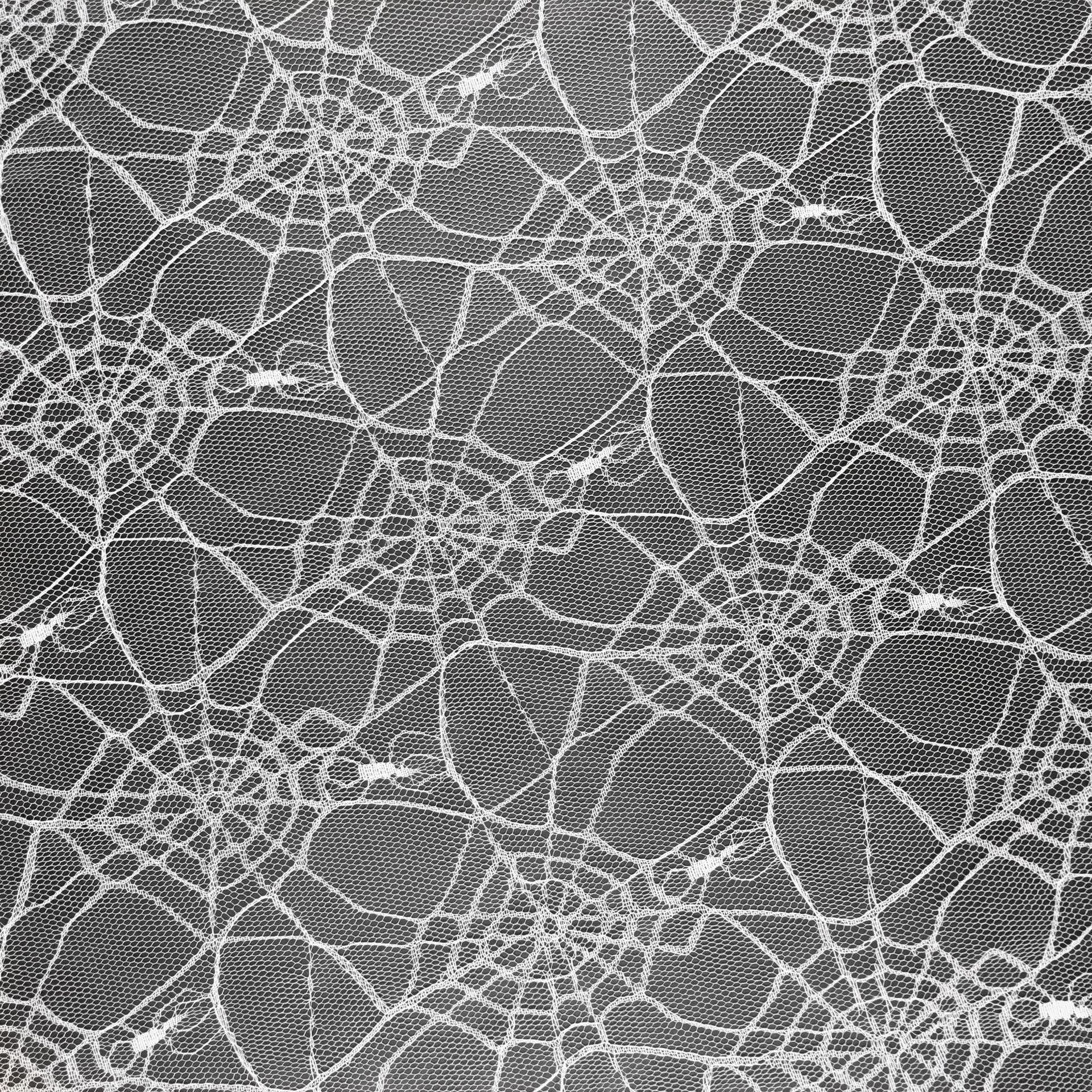 0成交10码涤纶纱网 尼龙格纱窗网眼布 方格过滤筛网