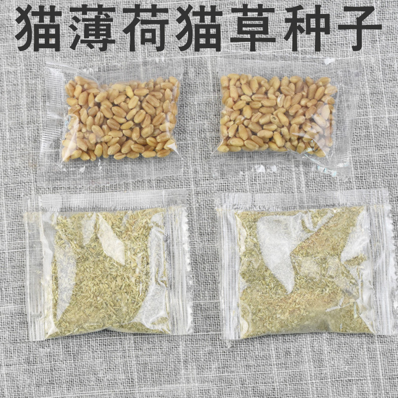小包装猫草种子 猫薄荷粉猫咪化毛猫草