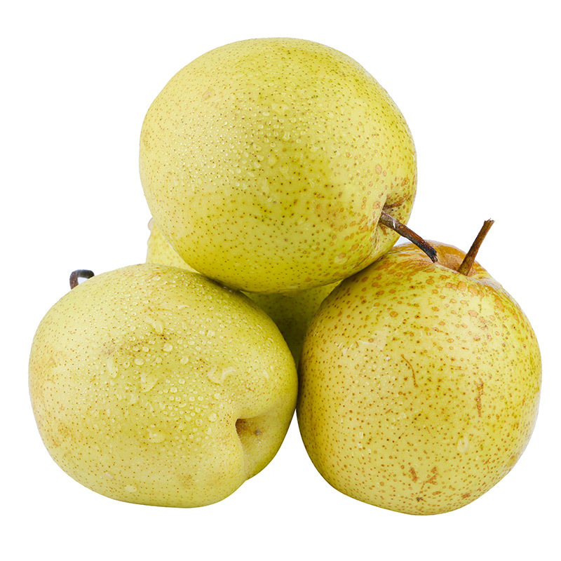 【10-5】雪花梨 河北正宗雪梨 新鲜应季水果梨子冰糖雪梨代发