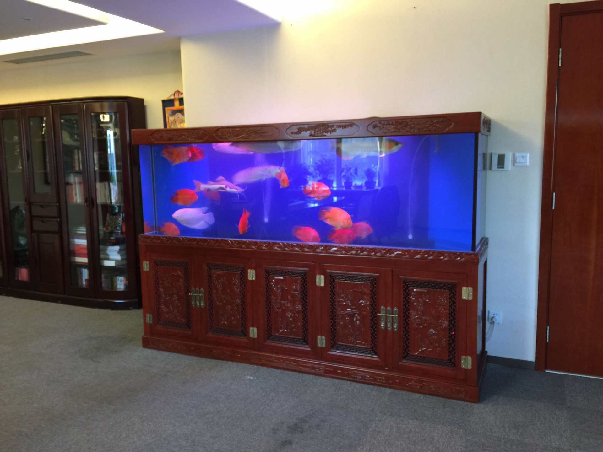 厂家直销供应榆木中式欧式免换水鱼缸大型生态鱼缸免费设计制做