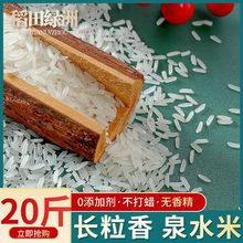 20斤泉水米长粒香米丝苗米10斤常五大米煲仔饭猫牙象牙茉莉清香米