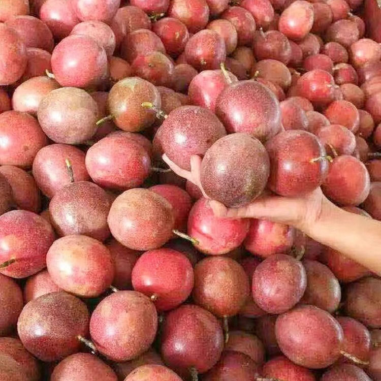 云南百香果紫皮特级大果酸甜新鲜水果批发当季鲜果包邮整箱非广西