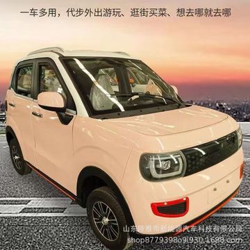 电动四轮车全封闭电动汽车轿车油电两用家用四轮电动车代步车
