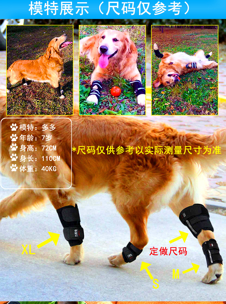 狗骨折固定夹板短关节护腿趴蹄o型腿矫正猫骨折金毛泰迪前腿后腿