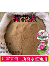 泥土荷花天然荷塘泥碗莲泥土铜钱草水生植物河淤泥营养土