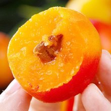 陕西胭脂红杏新鲜杏子5斤当季整箱水果现摘自然熟甜杏大红杏