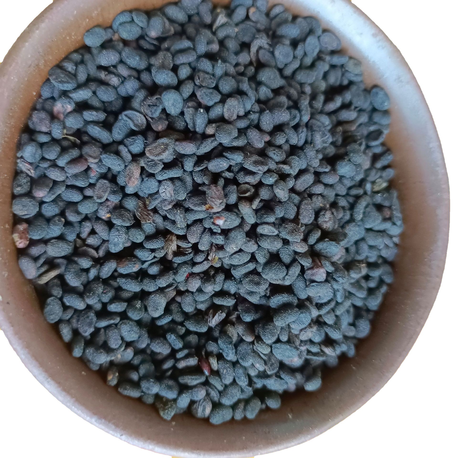 新货补骨脂中药材批发补骨脂黑故子现货【文杰药业】【补骨脂】