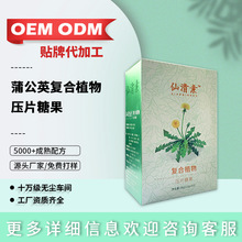 仙清素复合植物肠道酵素压片糖果 蒲公英草本植物酵素片oem代加工