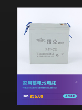 雷克源头厂家 超大容量130ah免维护铅酸蓄电池三轮车电瓶蓄电