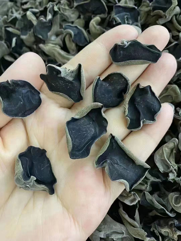 东北黑龙江特产野东宁黑木耳长白山小碗耳生干货无根肉厚500g秋耳