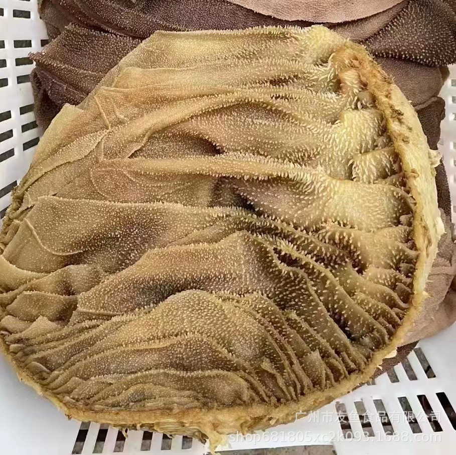 水发黑牛百叶黑个子 新鲜带底毛肚批发火锅食材牛百牛肚大片叶5斤