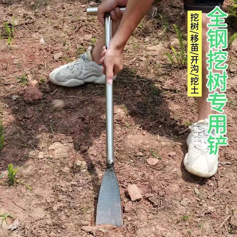 包邮园艺工具钢锹大铲子户外挖土铲子花园植树工具加厚大蒜钢铲子