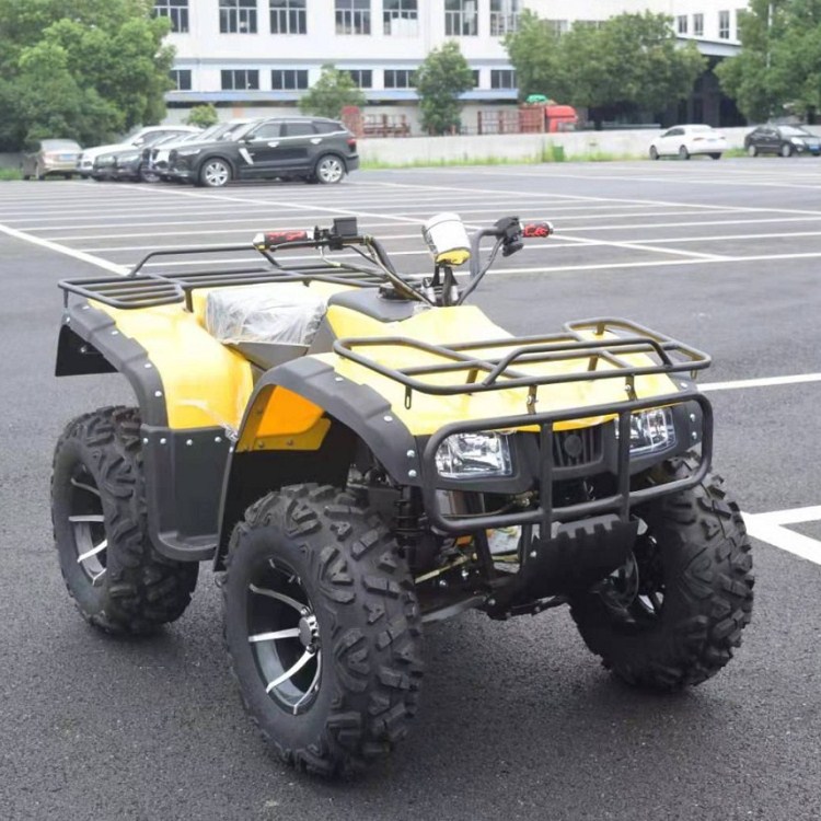 平衡轴自动挡龙鼎款沙滩车全地形四轮越野山地成人汽油景区摩托车