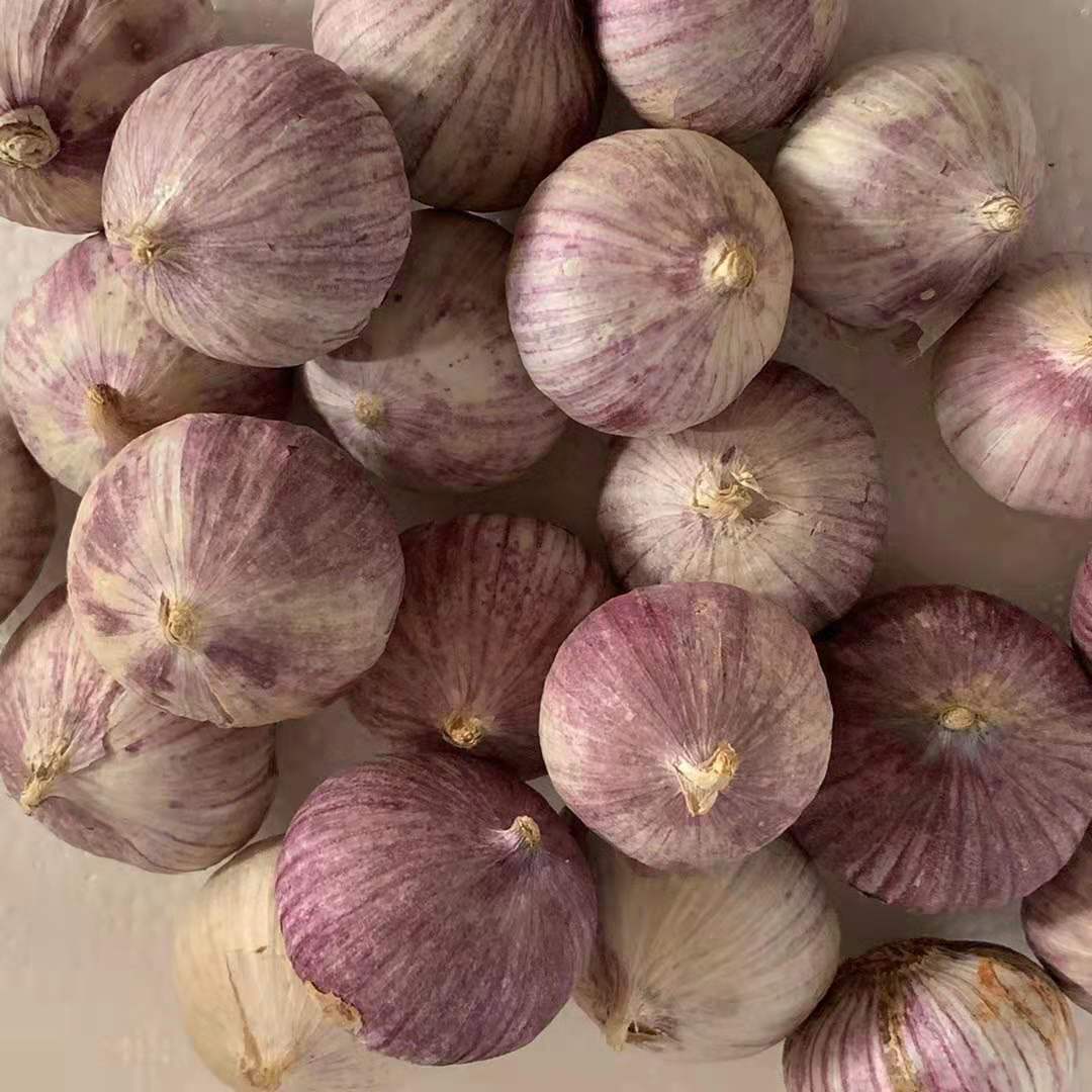 云南紫皮蒜独蒜新鲜大蒜头湿蒜农家糖醋蒜蔬菜