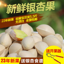【5.5斤装】新鲜银杏果 白果大佛指 邳州产送开果器和食谱