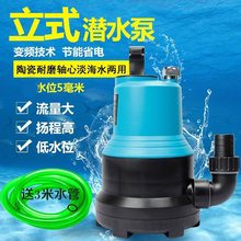CLP-CLB格池立式变频水泵鱼缸鱼池水池潜水泵假山循环抽水泵