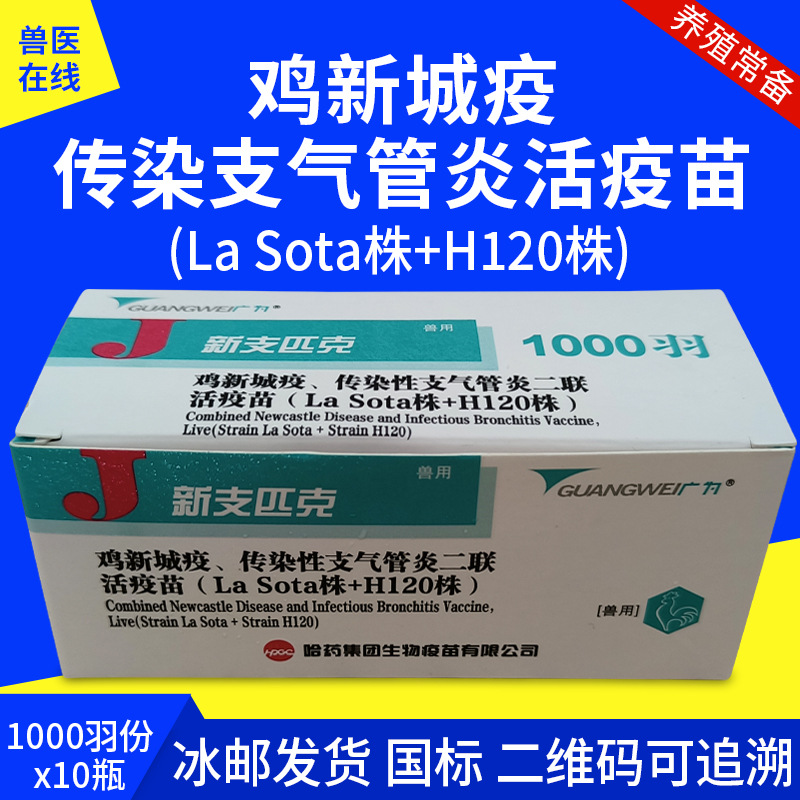 哈药鸡疫苗新支二联h120株鸡新城疫鸡支气管炎鸡瘟疫苗一盒多盒价