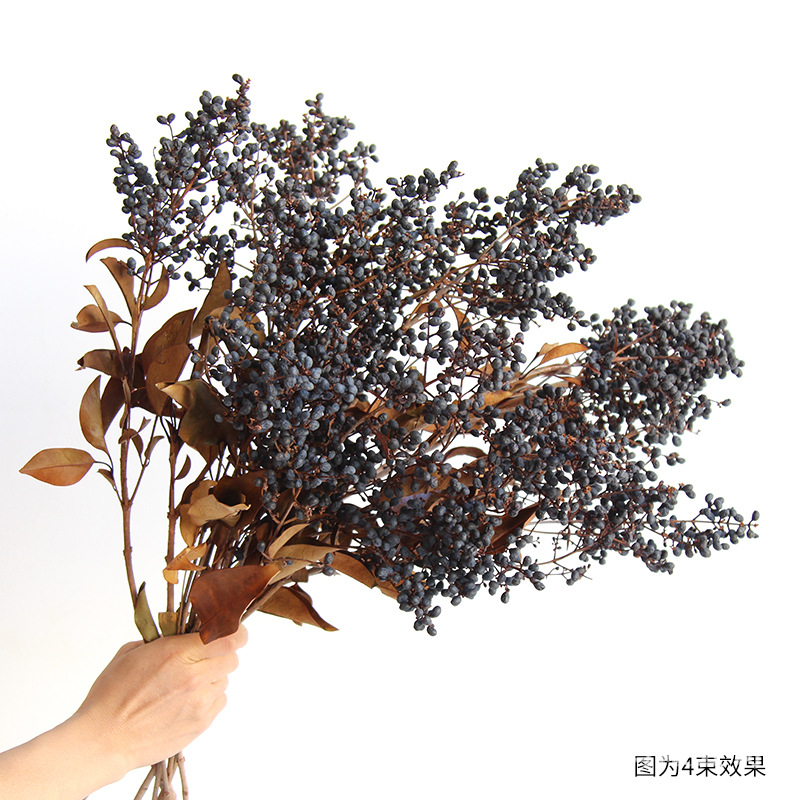 狂想者工厂永生·黑冬青/女贞果森系永生干树枝干果干花家装