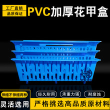 吐沙框贝类加厚花甲贝壳毛蛤吐带脚市场透水蛤蜊塑料筐盒加密水产