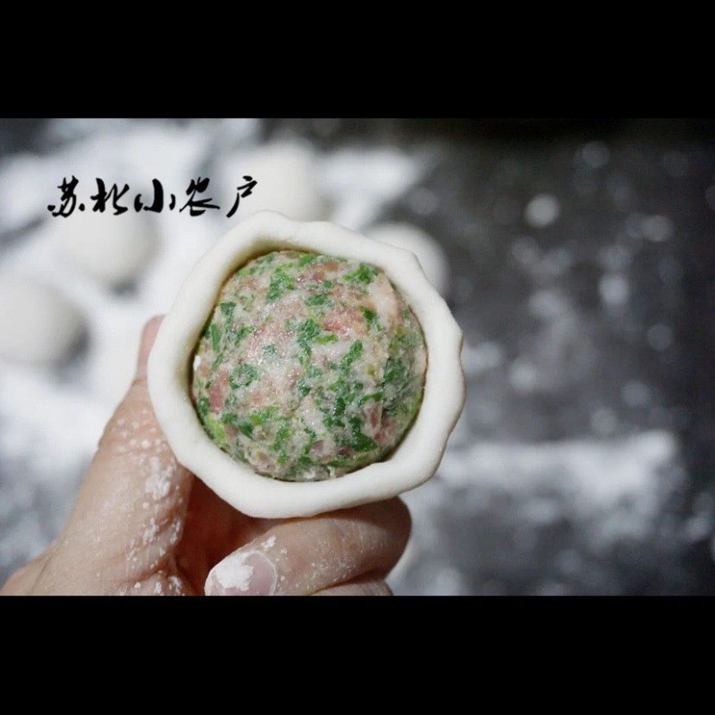 荠菜大汤圆鲜肉汤圆野荠菜汤圆水磨糯米圆子元宵速食软糯跨境电商