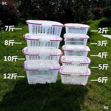 水果篮送礼塑料手提商用有盖5斤10斤包装蓝草莓鸡蛋樱桃蔬菜篮子