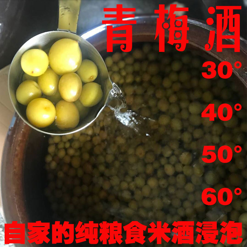 青梅酒男女士低度梅子酒酸梅酒自酿纯米酒浸泡桶装高度配置 5斤装