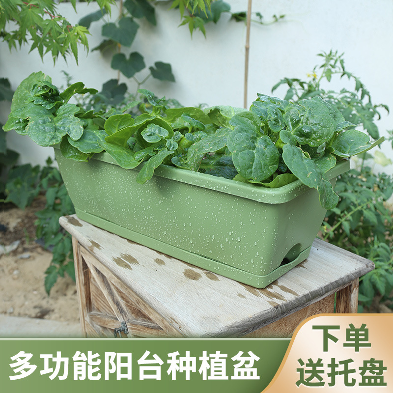 思威博阳台蔬菜单品长方形花盆新款种菜家庭种植箱大草莓盆-阿里巴巴