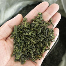 茶叶山东日照绿茶特产散装高山云雾新茶一斤500g1000g