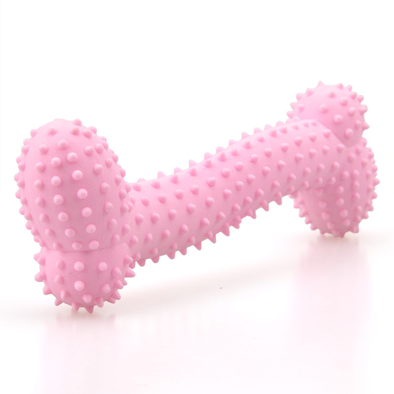 Cross-Border New Arrival Dog Toy TPR Milk Flavor Barbed Bone Molar Tooth Cleaning Foam Small Bone Pet Toy