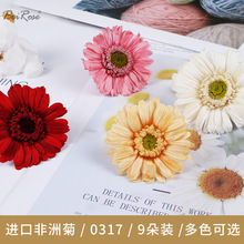 日本大地农园永生花DIY材料非洲菊扶郎花03170太阳花9朵装5色可选